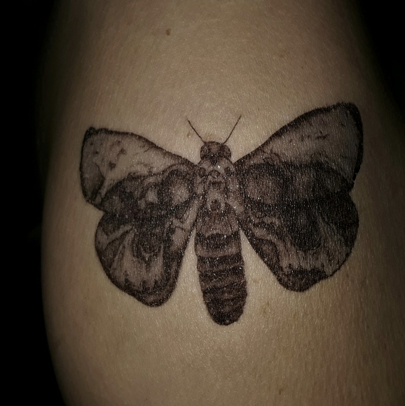 NWT, "DEATHS HEAD MOTH" TEMPORARY TATTOO. - Picture 2 of 2